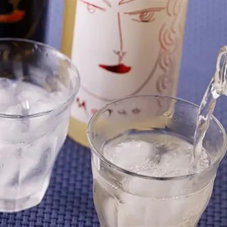 本格焼酎大野城セット_酒・アルコール 麦焼酎 焼酎 _【1451111】