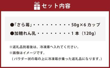 いちご 冷凍 50g×6カップ 合計300g 練乳  完熟 冷凍 いちご 「さら苺」 6カップ 合計300g 練乳付き 1本（120g） 園村苺園 熊本県産冷凍いちご 宇城市産冷凍いちご 九州産冷凍いちご  