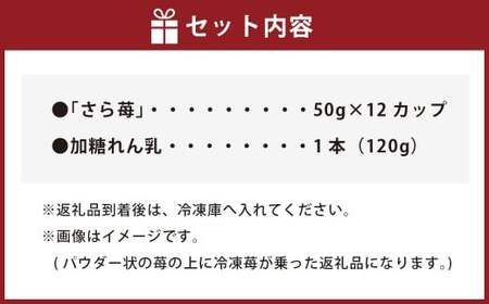 いちご 冷凍 50g×12カップ 合計600g 練乳  完熟 冷凍 いちご 「さら苺」 50g×12カップ 合計600g 練乳付き 1本（120g） 園村苺園 熊本県産冷凍いちご 宇城市産冷凍いちご 九州産冷凍いちご 