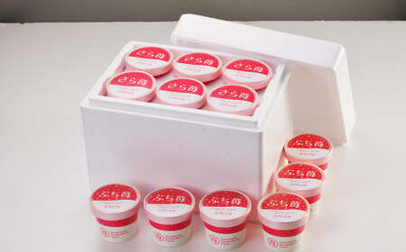 いちご 冷凍 合計12カップ（600g） 練乳  完熟 冷凍 いちご 「ぷち苺」 と 「さら苺」 各6カップ 合計12カップ（600g） 練乳付き 1本（120g） 園村苺園 熊本県産冷凍いちご 宇城市産冷凍いちご 九州産冷凍いちご 