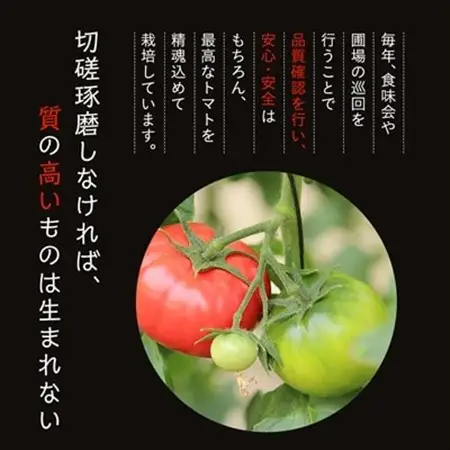 【令和8年3月発送開始】糖度9度以上!赤い宝石のようなフルーツトマト　ブリックスナイントマト1ケース_野菜  トマト _【配送不可地域：離島】【1210032】