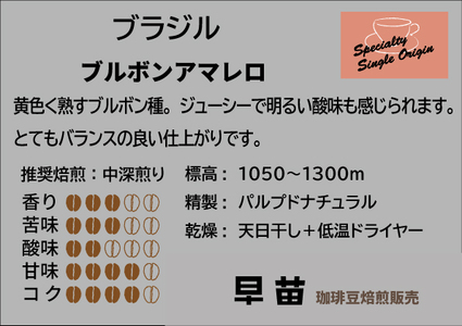 【早苗】焙煎珈琲豆（どっしりとした苦みを味わうセット　3種×各100g）粉  0020-005-S05-2