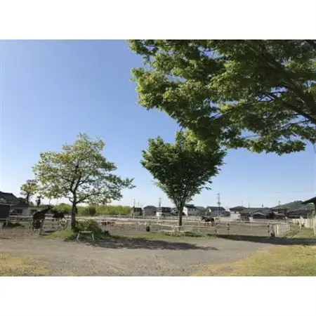 乗馬レッスン40分コース(1名様分)_旅行券・チケット  体験チケット _【1367672】