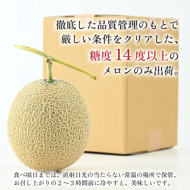 【先行予約】【赤肉】秋 アールスメロン 1玉（約1.6kg以上） 高級メロン！ ／ マスクメロン 大玉 果物 フルーツ 夏 ギフト 農家直送 ※2026年9月中旬以降発送  [aw065-a010]