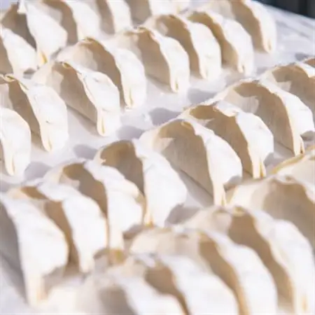 餃子の金星の素材のうまみを最大限に引き立たせた秘伝の味　特撰生餃子80個入り　タレ付き_惣菜・加工品 餃子  ぎょうざ ギョウザ_【配送不可地域：離島】【1412835】