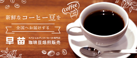 【早苗】焙煎珈琲豆（★12か月定期便★　毎月違ったスペシャルティコーヒーコース　計12種） 粉　0020-029-S05-B