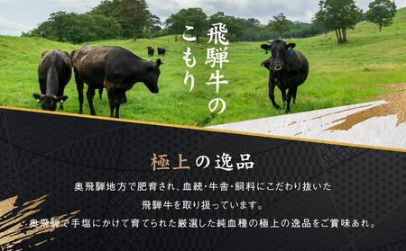 満喫飛騨牛3ヶ月定期便（全3回）牛肉 しゃぶしゃぶ ステーキ 切り落とし 飛騨牛のこもり FC101〔国産和牛定期便  牛肉定期便 ステーキ  飛騨牛定期便　3回〕
