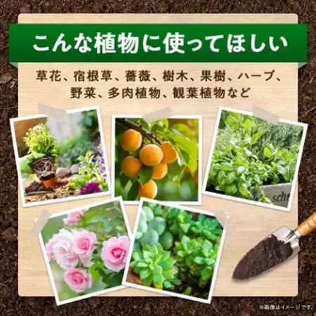 植物用 肥料  バイオゴールド オリジナル 5kg×1袋_花・観葉植物 盆栽  _【1437140】