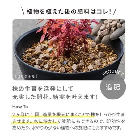 植物用 肥料 バイオゴールド オリジナル 2.4kg×1袋_花・観葉植物 盆栽  _【1437141】