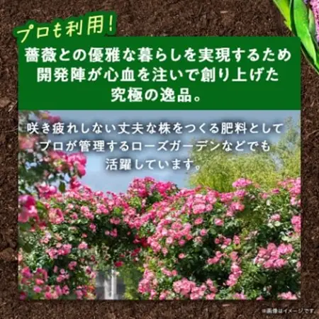 植物用 肥料 バイオゴールド セレクション薔薇 3.8kg×1袋_花・観葉植物 盆栽  _【1437145】