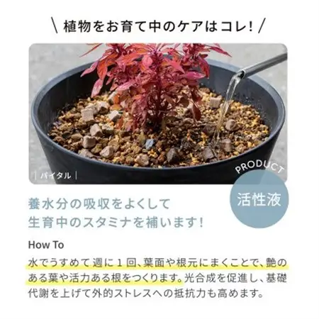 植物用 活性液 バイオゴールド バイタル 2L×8本入(1箱)_花・観葉植物 盆栽  _【1437142】
