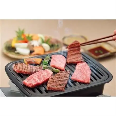 A5等級 飛騨牛ロース焼肉用300g(冷凍)【配送不可地域：離島】【1132918】