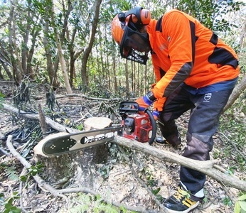 薪 約10kg（１箱）乾燥済 ウバメガシ うばめがし 約30cm 焚き火 たきび キャンプ 薪ストーブ 暖炉 囲炉裏 アウトドア バーベキュー BBQ 災害備蓄 防災グッズ 広葉樹【R01604】