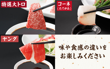 【3回定期便】馬刺し 特盛！バラエティセット 6種類 5・6人前 ＋タレ大【馬刺しの郷 民守】 馬肉 熊本県 特産品  [ZBL049]