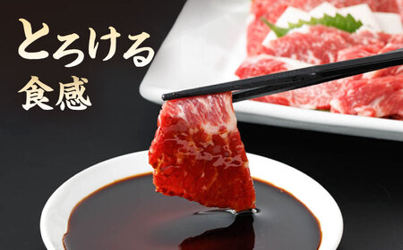 【6回定期便】霜降り馬刺し 計400g（4pc）＋タレ大【馬刺しの郷 民守】 特産品 霜降り 馬刺し タレ付き [ZBL069]