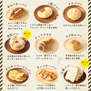 i883 冷凍パンセット(計10個) 鹿児島 パン 菓子パン 食パン 豆乳 ちぎりパン ハード系 チョコ プレーン 冷凍 何が届くかお楽しみ バラエティ セット 【パティスリータンプルタン】