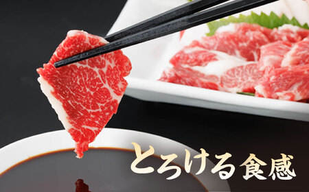 【6回定期便】特選霜降り馬刺し（中トロ）計600g（6pc）＋タレ大【馬刺しの郷 民守】 九州 冷凍 特選 中トロ トロ  [ZBL071]