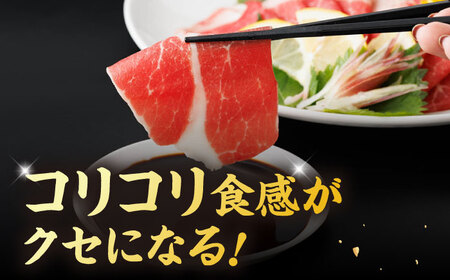 【12回定期便】ヤング馬刺し 計300g（3pc）＋タレ小【馬刺しの郷 民守】 馬肉 熊本県 特産品 馬刺し  [ZBL102]