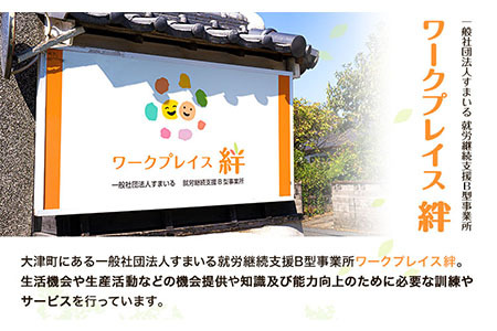 熊本県産 ブランド豚 えころとん使用 とにかく美味しいギフトセット 合計800g以上 一般社団法人すまいる ワークプレイス絆 《90日以内に出荷予定(土日祝除く)》 味噌豚 とんかつ コロッケ えころとん ギフト 豚肉