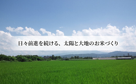 【太陽と大地】令和7年産「八重原産コシヒカリ玄米「極」（栽培期間中農薬化学肥料不使用）８kg」