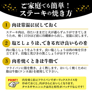 神戸牛サーロインステーキ(200g×3枚)《 肉 牛肉 牛 神戸牛 国産牛  サーロイン ステーキ 》【2407A00117】