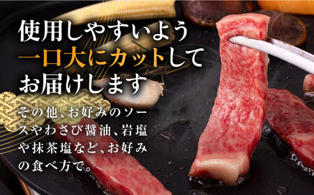 【全12回定期便】壱岐牛 ロース 焼肉用 550g《壱岐市》【中津留】 焼肉 BBQ 牛肉 赤身 [JFS062] 396000 396000円