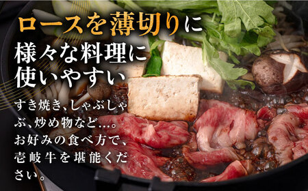 【全6回定期便】壱岐牛 ロース すき焼き・しゃぶしゃぶ用 550g《壱岐市》【中津留】 サーロイン リブロース 肩ロース すき焼き しゃぶしゃぶ 牛肉 [JFS064] 198000 198000円