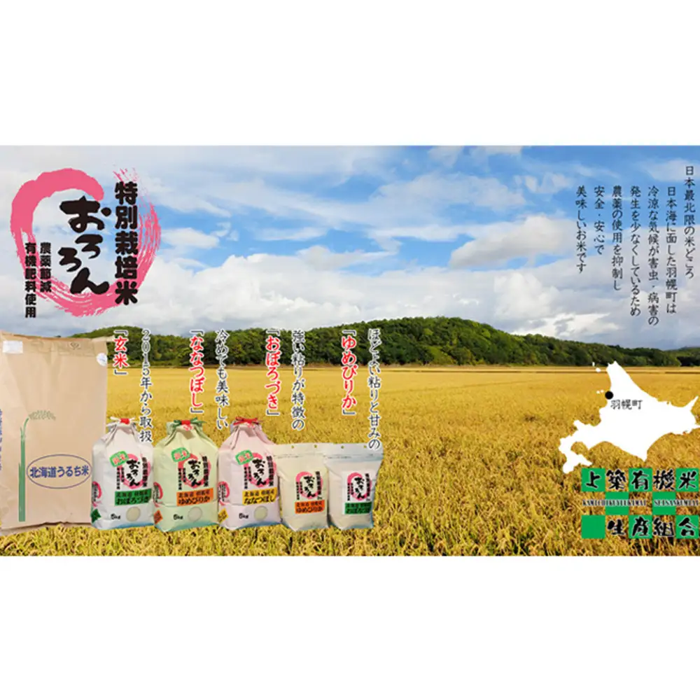 【2025年産】 【定期便：6回】 北海道羽幌産 特別栽培米 おぼろづき5kg【0811402】