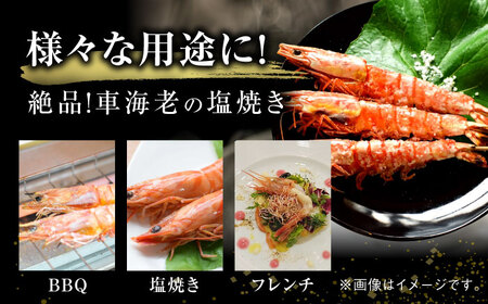 伊万里特産 車海老の塩焼き 計8尾 / 佐賀県 / 株式会社拓水 伊万里クルマエビセンター [41AEAJ004]