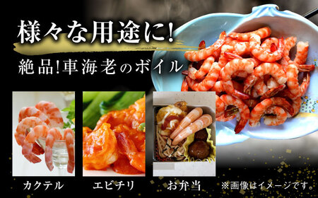 【数量限定】伊万里産 車海老のボイル（尾付きムキえび） 計500g（250g×2袋） / 佐賀県 / 株式会社拓水 伊万里クルマエビセンター [41AEAJ005]