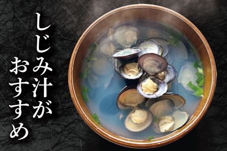 涸沼産 大粒 シジミ 1kg しじみ 蜆 大和しじみ ヤマトシジミ 大玉 冷蔵 味噌汁 スープ 魚貝類 貝 オルニチン コハク酸 魚介類_DV001