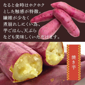 さつまいも なると金時「甘姫」約5kg　新芋 7月下旬から順次発送