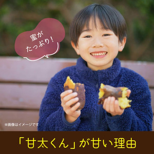 さつまいも 甘太くん 5kg 大分県産 M～2L _2291R