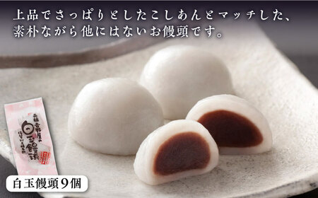 冷凍白玉饅頭詰合せ Aセット 白玉饅頭 / 佐賀県 / 白玉饅頭元祖吉野屋 [41AACQ001]