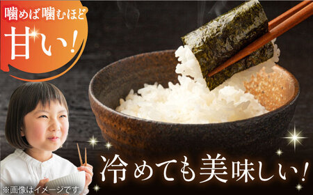 【全6回定期便】さがびより 白米 計60kg（5kg×2袋×6回） / 佐賀県 / 株式会社JA食糧さが [41ADAR007]