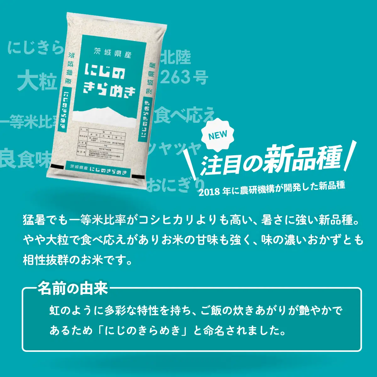 【令和7年産】精米 にじのきらめき 10kg スピード発送 白米 10kg(5kg×2袋)