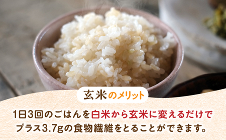 【全6回定期便】ビーガン米 玄米 計60kg（10kg×6回） / 佐賀県 / 株式会社サガンベジ [41ANCH007]