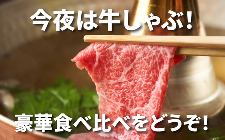 宮崎牛 肩ローススライス300g ウデスライス400g _K18_0039_5