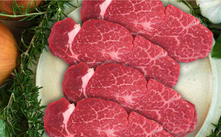 【全6回定期便】佐賀牛ヒレステーキ300gとステーキ600g 計5.4kg [41ASAA055]