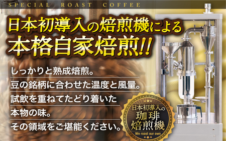 必ず出荷日に自家熟成焙煎ブルーマウンテンNo.1豆(400g)【6回定期便】