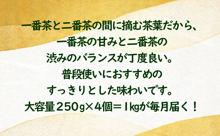 世知原茶お茶工場のまかない茶【12回定期便】