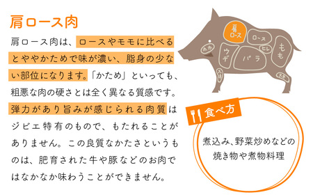 【猪肉】平戸いのしし 肩ロース肉 切り落とし 500g / ジビエ すき焼き ぼたん鍋 しゃぶしゃぶ ボタン鍋 長崎県 天然 猪 いのしし肉
