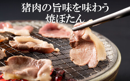 【猪肉】平戸いのしし モモ肉 スライス 300ｇ / ジビエ 焼肉 モモ肉 スライス 猪肉 いのしし