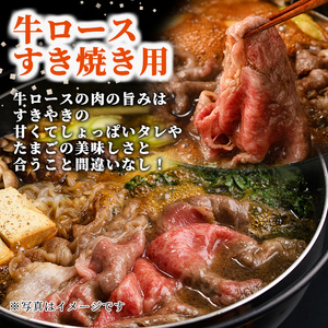 【B7013】北海道士別市産 牛ロース すき焼き用 (300g×1P) 牛 牛肉 肉 お肉 ロース すき焼き 牛すき 北海道産 冷凍 晩御飯 ごはん おかず 【まちづくり士別】