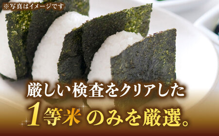 【令和7年産】福岡県産ブランド米「元気つくし」無洗米 5kg【2025年11月以降順次発送】 [ABDD002] 