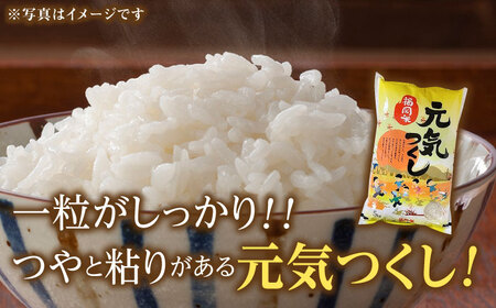 【先行予約】【令和7年産】福岡県産米食べ比べ「夢つくし」と「元気つくし」セット 白米 計20kg【2025年11月以降順次発送】 [ABDD015] 