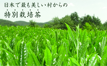 【全6回定期便】奥八女星野村 深蒸し高級煎茶(深蒸し茶)100g×1袋　6回コース 八女茶 [ABDF026] 