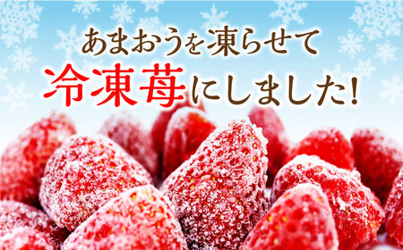 福岡県産【博多冷凍あまおう】約500g×2袋 合計約1kg [ABDG005] 