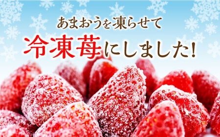 あまおう 約 500g × 4袋 [ABDG007] あまおう 果物