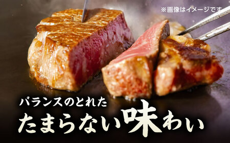 【3回定期便】くまもと黒毛和牛 ステーキ食べ比べ ヒレステーキ×2枚 サーロインステーキ×2枚【馬刺しの郷 民守】 食べ比べセット ヒレ サーロイン ステーキ  [ZBL058]